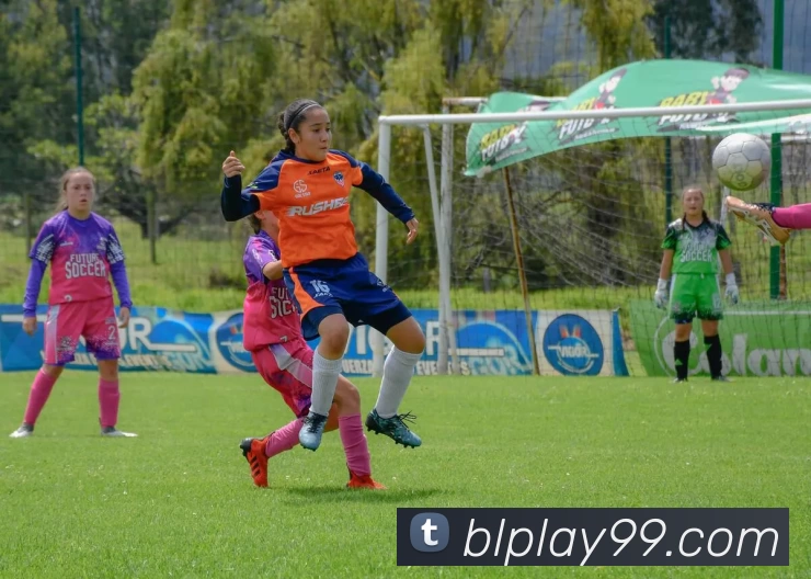 App Interface Preview