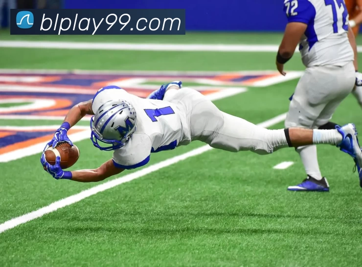 泊乐娱乐城官网APP 封面图